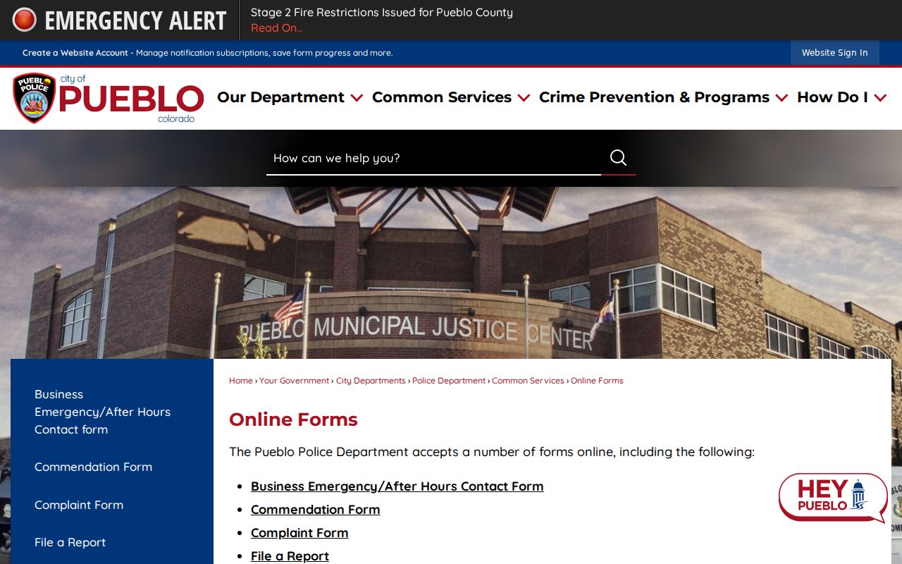 Pueblo criminal history police online record forms